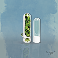 Conservador Verduras Frescas Recipiente