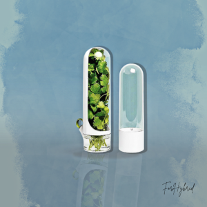 Conservador Verduras Frescas Recipiente